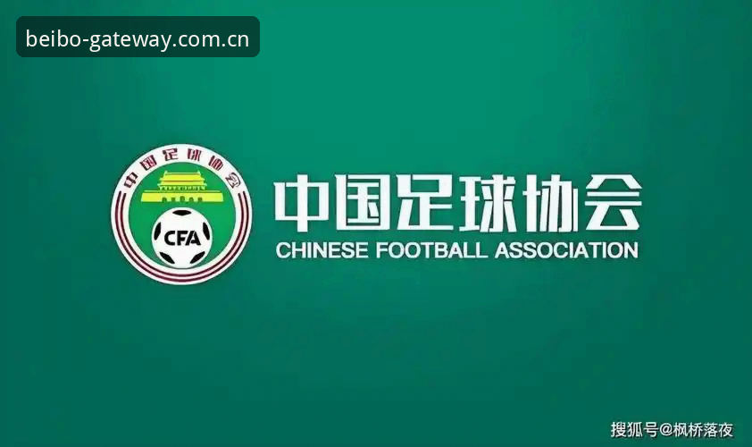 贝博平台流畅体验 足协第三批禁足名单详解:65人受罚背后的足球生态变革